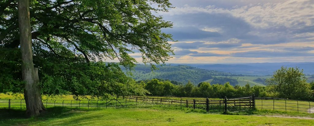 Top Picnic Spots in The Cotswolds