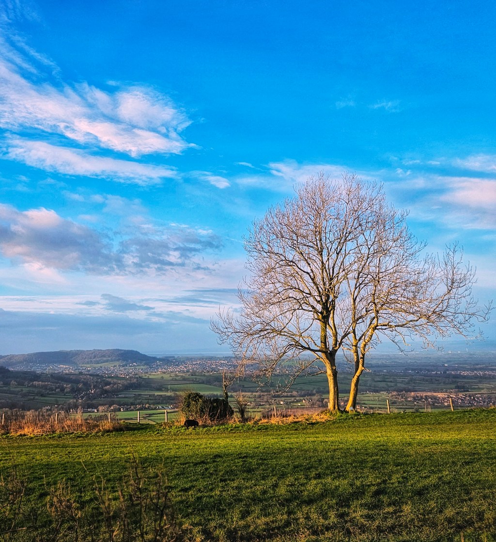 Coaley peak to Selsely Common&nbsp;Walk