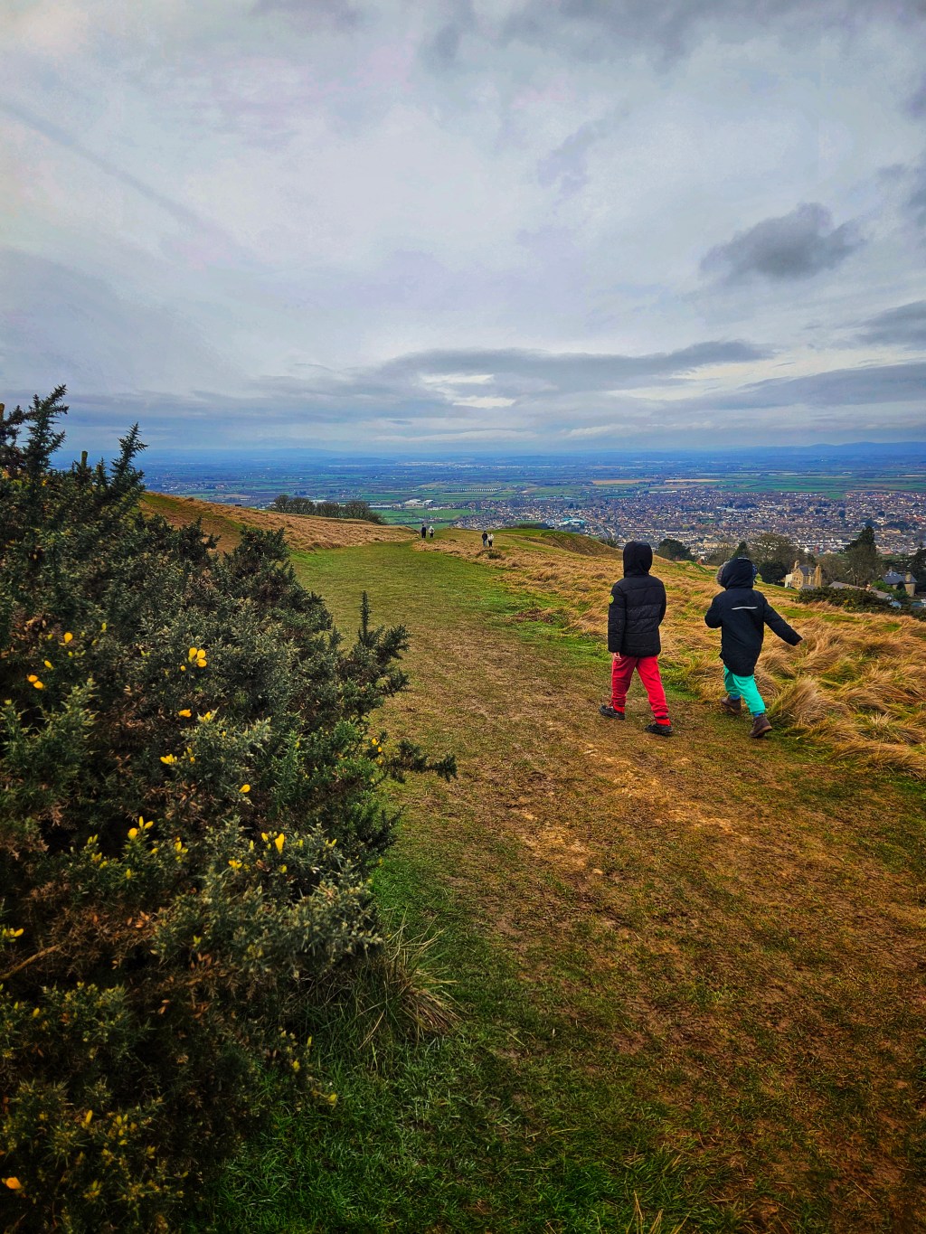 Cleeve Common Circular