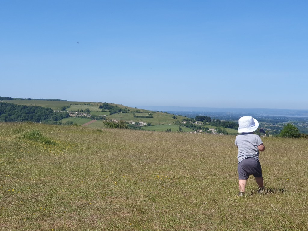 Rodborough Common View&nbsp;Walk