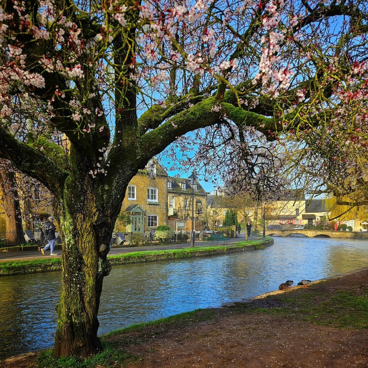 Cotsowld Spring Best Family Walks for Spring in the Cotswolds – Cotswold Little Explorers