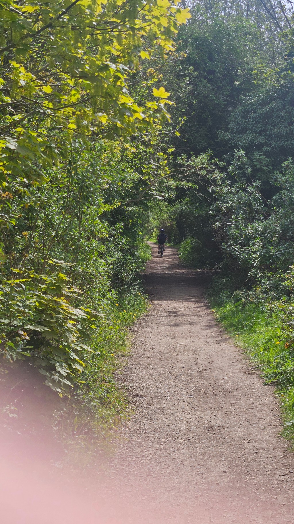 Bike ride with kids: South Cerney  to Cricklade (Cotswold&nbsp;Lakes)